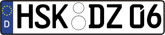 HSK-DZ06