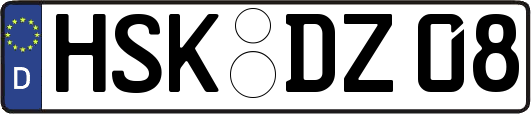 HSK-DZ08