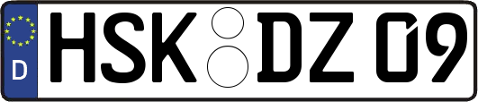 HSK-DZ09