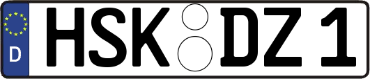 HSK-DZ1