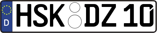 HSK-DZ10