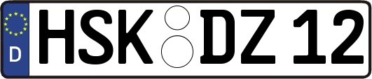 HSK-DZ12