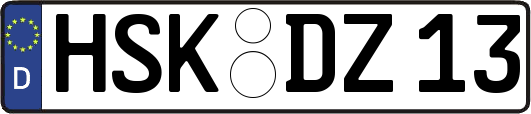 HSK-DZ13