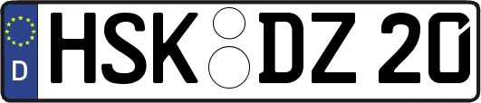 HSK-DZ20