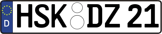 HSK-DZ21