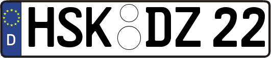 HSK-DZ22