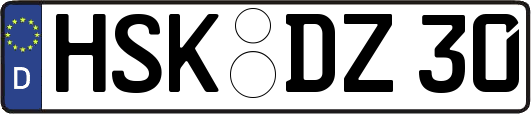 HSK-DZ30
