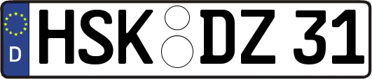 HSK-DZ31