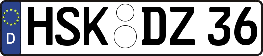 HSK-DZ36