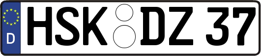 HSK-DZ37
