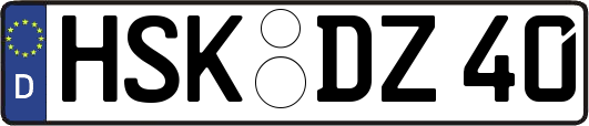 HSK-DZ40