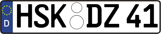 HSK-DZ41