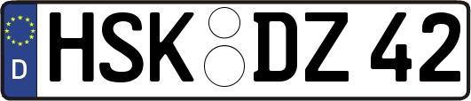 HSK-DZ42