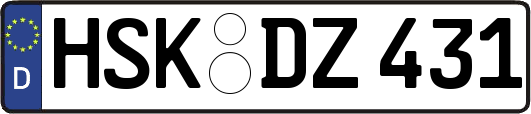 HSK-DZ431