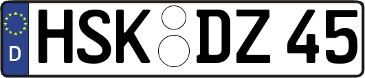 HSK-DZ45