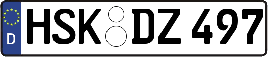 HSK-DZ497