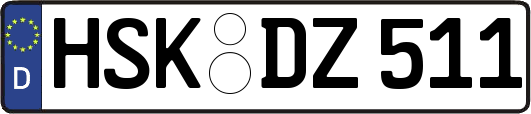 HSK-DZ511