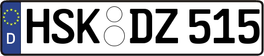 HSK-DZ515