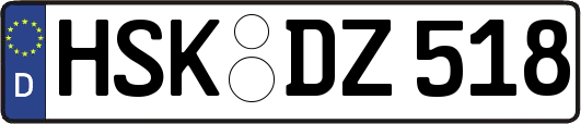 HSK-DZ518