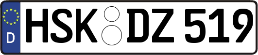 HSK-DZ519