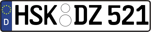 HSK-DZ521