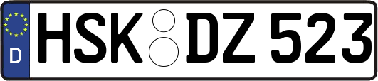 HSK-DZ523