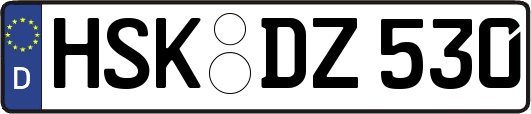 HSK-DZ530