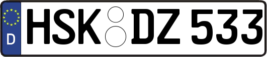 HSK-DZ533