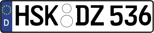 HSK-DZ536