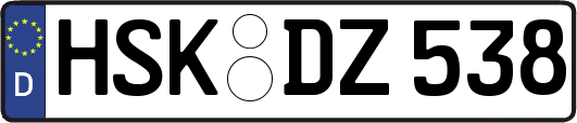 HSK-DZ538