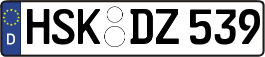 HSK-DZ539