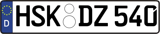 HSK-DZ540