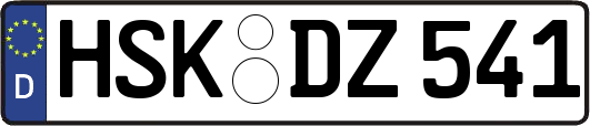 HSK-DZ541