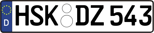 HSK-DZ543