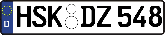 HSK-DZ548