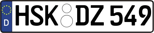 HSK-DZ549