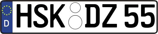 HSK-DZ55