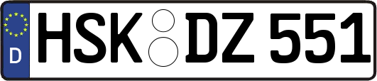 HSK-DZ551