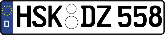 HSK-DZ558