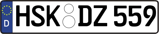 HSK-DZ559