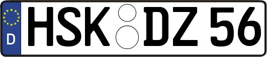 HSK-DZ56