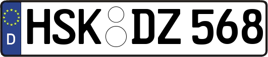 HSK-DZ568