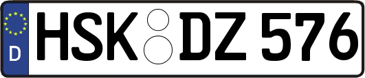 HSK-DZ576