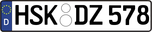 HSK-DZ578