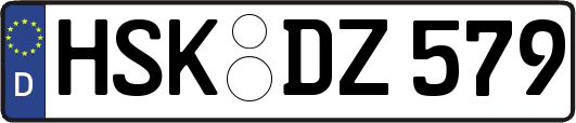 HSK-DZ579