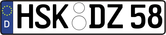 HSK-DZ58