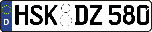 HSK-DZ580