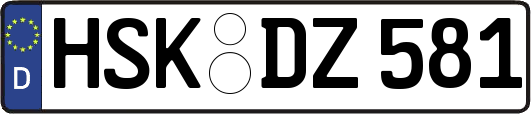 HSK-DZ581