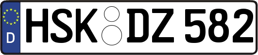 HSK-DZ582