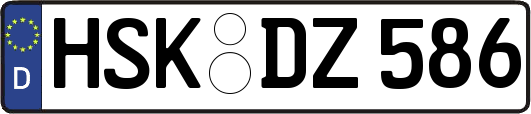 HSK-DZ586